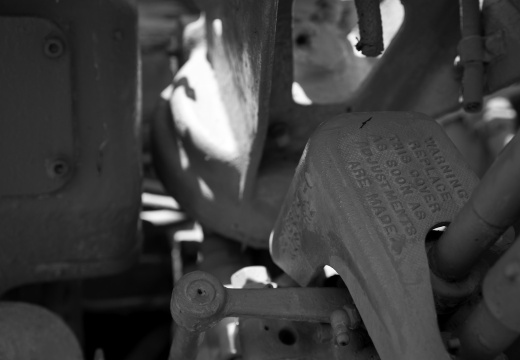 SampsonStatePark2009-38