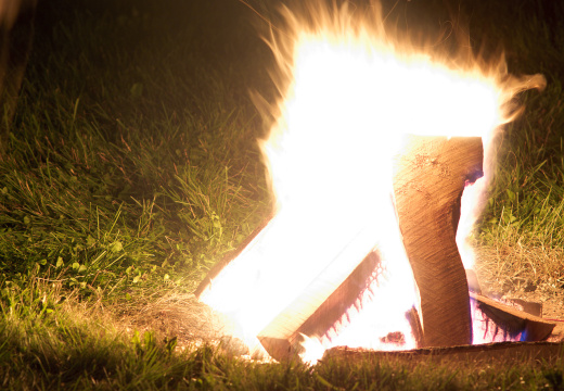 SampsonStatePark2009-50