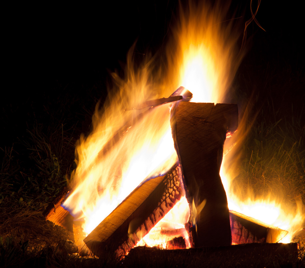 SampsonStatePark2009-51