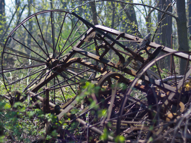 OldFashionedDay2009-01