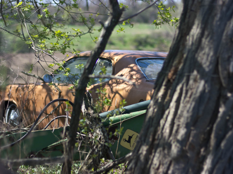 OldFashionedDay2009-03