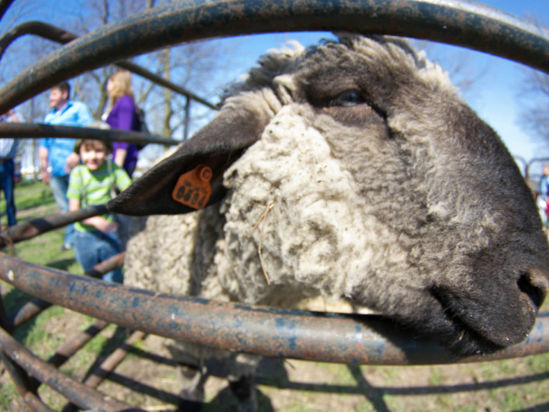 OldFashionedDay2009-06