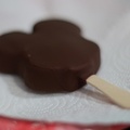 WDW2011-005