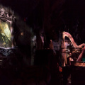 WDW2011-045.jpg
