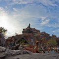 WDW2011-068