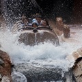 WDW2011-072