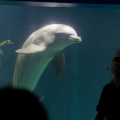 WDW2011-182.jpg