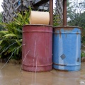 WDW2011-245