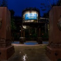 WDW2011-250