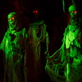 WDW2011-328