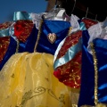 WDW2011-362