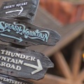 WDW2011-393