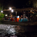 WDW2011-411.jpg