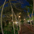 WDW2011-415.jpg
