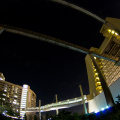 WDW2011-531