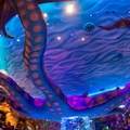 WDW2011-536