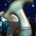 WDW201001-168.jpg