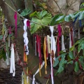 WDW201001-269
