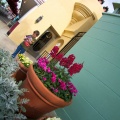 WDW201001-374