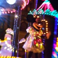WDW201001-474