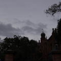 WDW201001-510.jpg