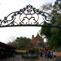 WDW201001-519