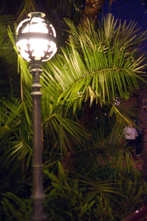 WDW201001-531.jpg