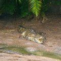 WDW201001-556