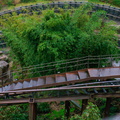 WDW201001-594
