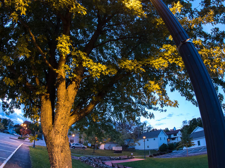 Photography-161024-03