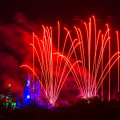 WDW2013-029.jpg