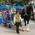 WDW201508-365