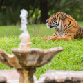 WDW201508-461