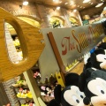 WDW201508-507