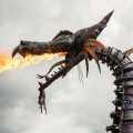 WDW201508-528