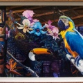 WDW201508-543