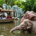 WDW201803-240