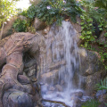 WDW200901-216.jpg