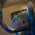 WDW200901-256