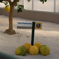 WDW200901-288