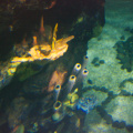 WDW200901-291