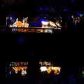 WDW200901-515