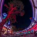 WDW201803-521