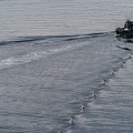 201806 Alaska-105 