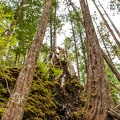 201806 Alaska-134 