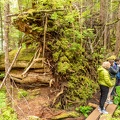 201806 Alaska-135 