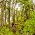 201806 Alaska-143 