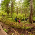 201806 Alaska-153 