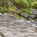201806 Alaska-159 