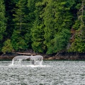 201806 Alaska-172 